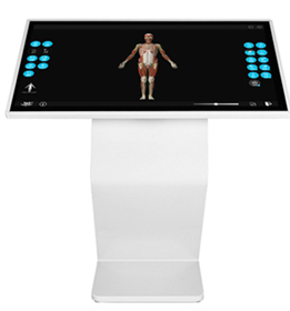 多点触控中医经络腧穴解剖教学系统